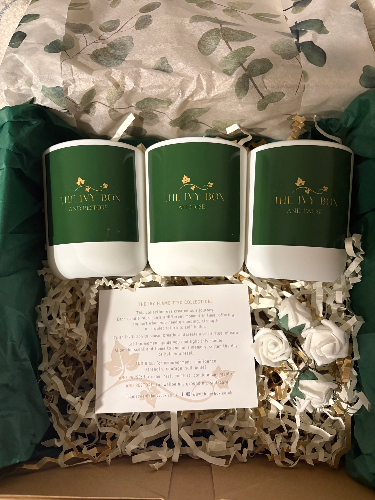 The Ivy Flame Trio Collection