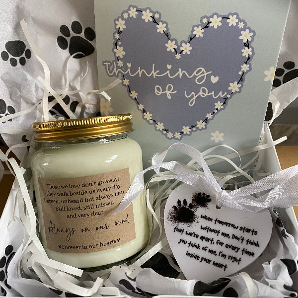 gift box for pet condolences